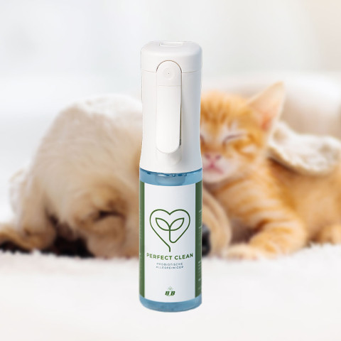 BBclean pets